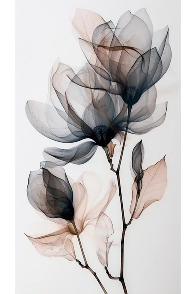 MODERN ŞEFFAF ÇİÇEK KANVAS TABLO EV DUVAR SALON OFİS HEDİYELİK MUTFAK DEKARASYON SÜSÜ ÖLÇÜ SEÇİNİZ : - 2