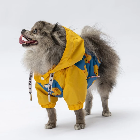 Pawstar Pekin Polarlı Su Geçirmez Küçük Irk Köpek Yağmurluğu - 4