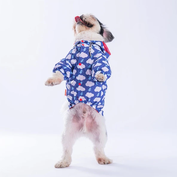 Pawstar Tonitruum Fileli Su Geçirmez Küçük Irk Köpek Yağmurluğu - Resim 3