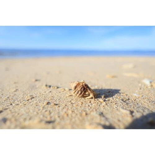 Canon RF 16mm f/2.8 STM Lens - Resim 7