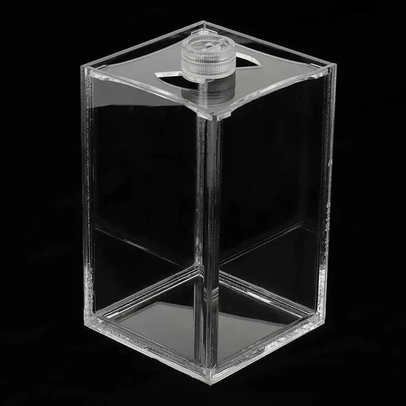 Beta akvaryum - 1