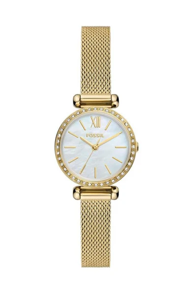 FOSSIL FBQ3898 Kadın Kol Saati ürün görseli