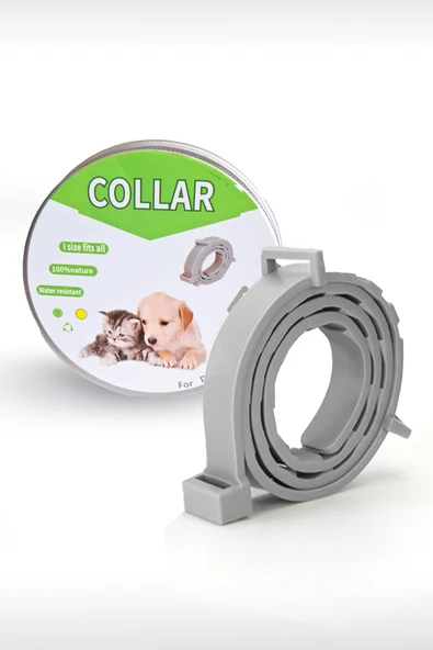 Kedi Anti Pire Kene Önleyici Tasma- 38 Cm Pire Önleyici Tasma, Kene Önleyici Tasma