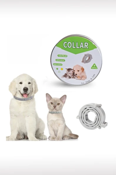 Kedi Anti Pire Kene Önleyici Tasma- 38 Cm Pire Önleyici Tasma, Kene Önleyici Tasma - 3