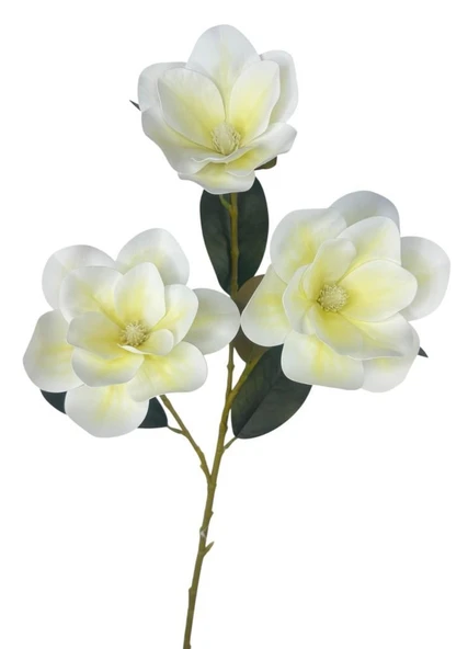 Yapay Çiçek Krem Manolya Islak Doku 3 Kafalı Uzun Dal Çiçek Flowers 80cm - Resim 3