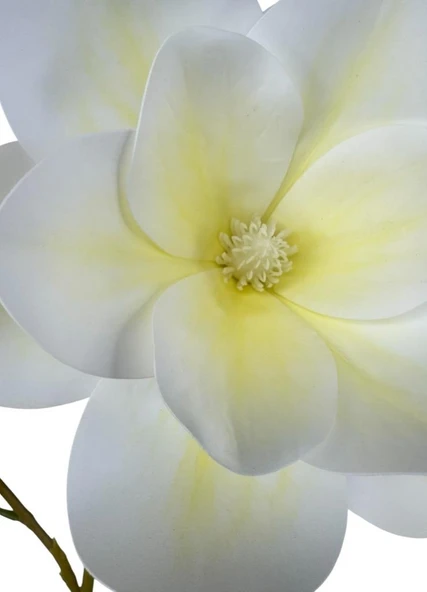 Yapay Çiçek Krem Manolya Islak Doku 3 Kafalı Uzun Dal Çiçek Flowers 80cm - Resim 6