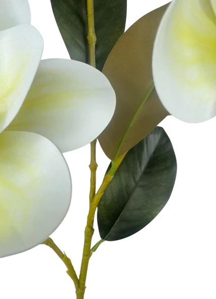 Yapay Çiçek Krem Manolya Islak Doku 3 Kafalı Uzun Dal Çiçek Flowers 80cm - Resim 5