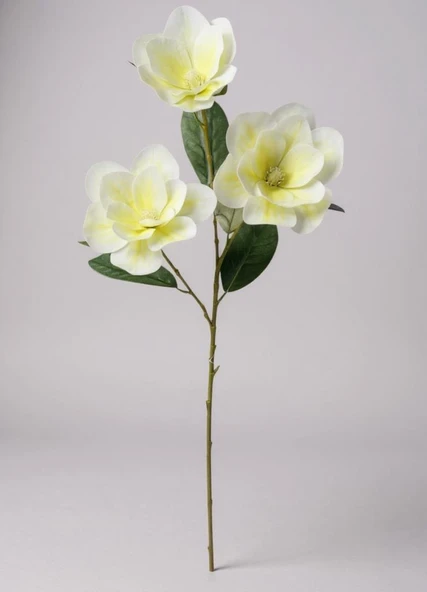 Yapay Çiçek Krem Manolya Islak Doku 3 Kafalı Uzun Dal Çiçek Flowers 80cm ürün görseli