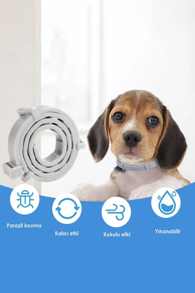 Kedi Anti Pire Kene Önleyici Tasma- 38 Cm Pire Önleyici Tasma, Kene Önleyici Tasma - 5