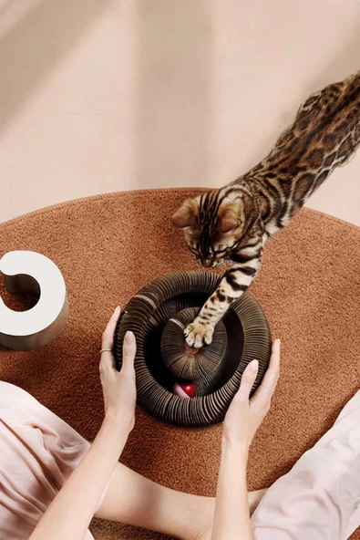 Kedi Tırmalama Oyuncağı, Sihirli Kedi Oyuncağı, Çıngıraklı Tırmalama Panosu, Kedi Oyuncağı - 2