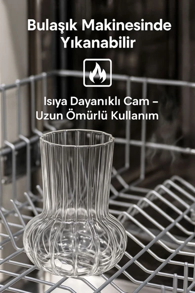 4 Adet Premium Cam Bardak Cam Pipet Hediyeli– Soğuk Kahve, Limonata ve Soda Sunumlar 500 ml - 6