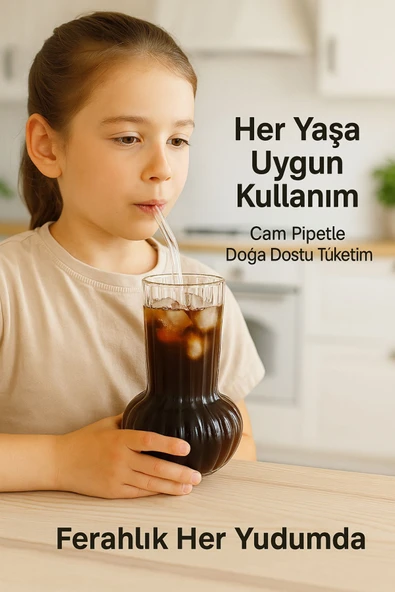1 Adet Premium Cam Bardak Cam Pipet Hediyeli– Soğuk Kahve, Limonata ve Soda Sunumlar 500 ml - 3