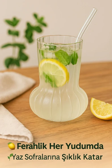1 Adet Premium Cam Bardak Cam Pipet Hediyeli– Soğuk Kahve, Limonata ve Soda Sunumlar 500 ml - 2