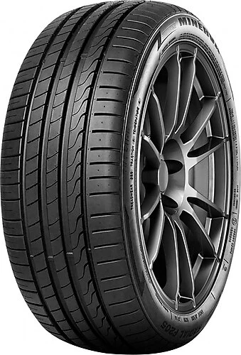 275/30R19 96Y XL F205 MİNERVA - 3
