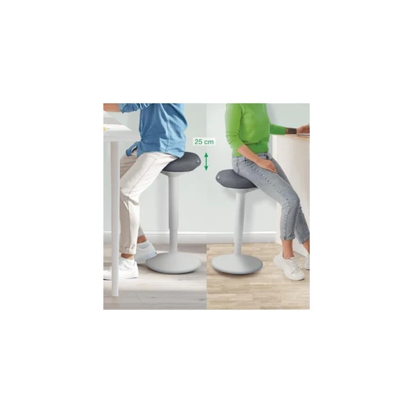 Leitz Ergo Active Akonforlu Oturaklı Sit Standing Tabure - 4