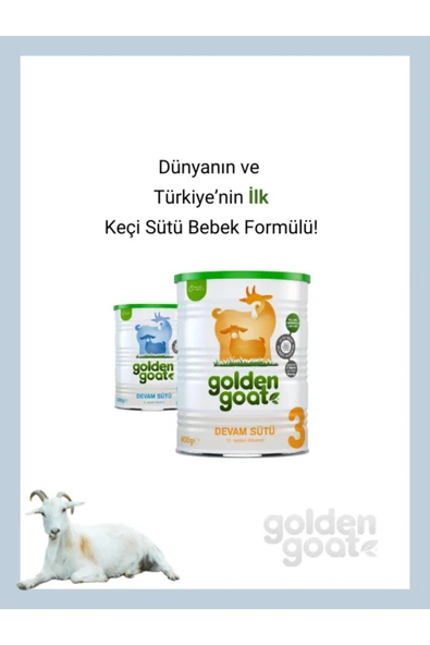 Golden Goat Keçi Devam Sütü 3 Numara 400 Gr4'lü Paket - Resim 4