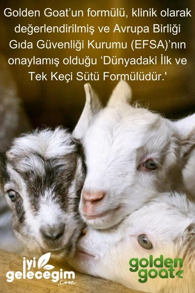 Golden Goat Keçi Bebek Sütü 1 Numara 400 gr 6'lı Paket - Resim 5