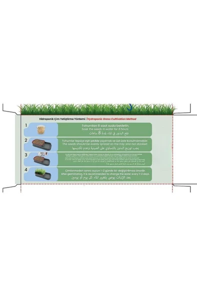 Topraksız Evde Kedi Çimi Yapımı Kiti 5 Paket Tohumu Hediyeli Suda Çim Otu Yetiştirme Mama Su Kabı - Resim 5