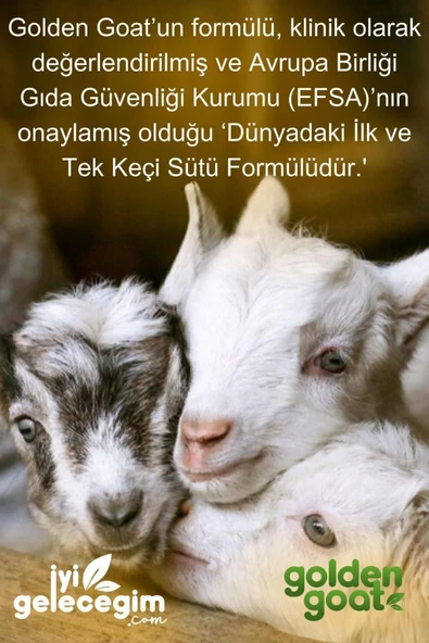 Golden Goat 2 Keçi Devam Sütü 400 G 2 Adet - Resim 5