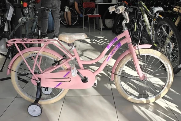 Salcano Flyer 20 V Fren 20 Jant Kız Çocuk Bisikleti Pudra Pembe Mor ürün görseli