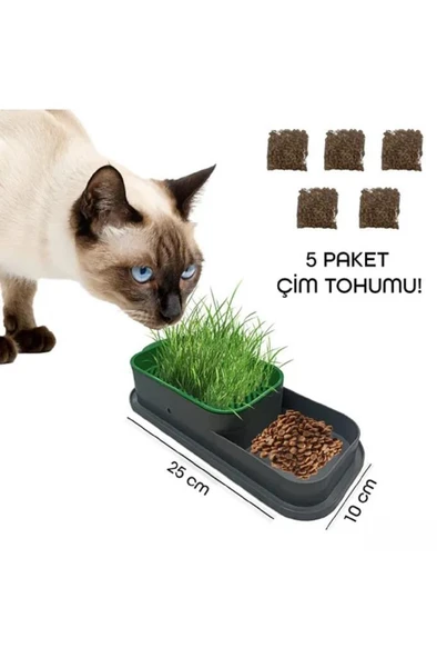 Topraksız Evde Kedi Çimi Yapımı Kiti 5 Paket Tohumu Hediyeli Suda Çim Otu Yetiştirme Mama Su Kabı - Resim 2