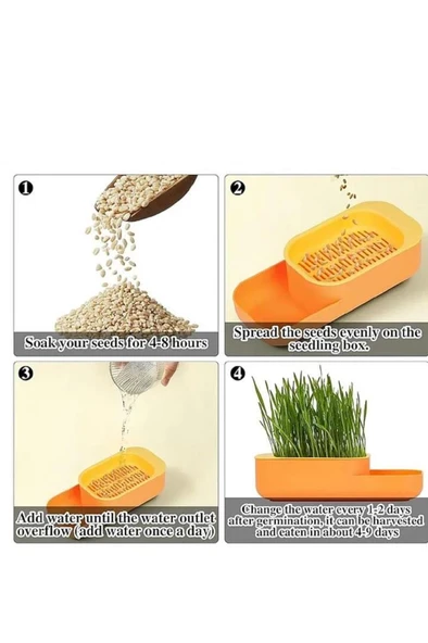 Topraksız Evde Kedi Çimi Yapımı Kiti 5 Paket Tohumu Hediyeli Suda Çim Otu Yetiştirme Mama Su Kabı - Resim 4