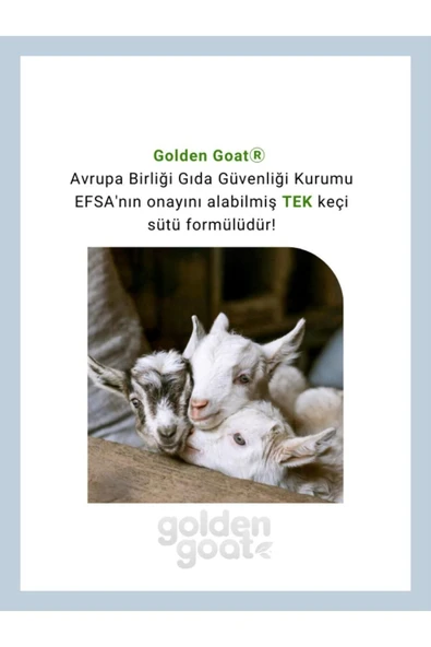 Golden Goat Keçi Devam Sütü 3 Numara 400 Gr4'lü Paket - Resim 2