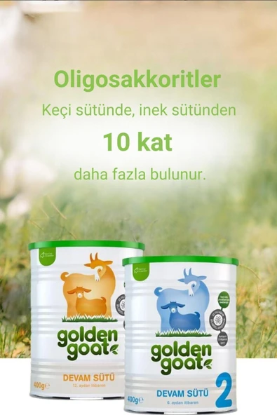 Golden Goat Keçi Bebek Sütü 1 Numara 400 gr 6'lı Paket - Resim 4