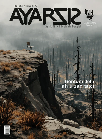 Ayarsız Dergi 114.Sayı Ağustos 2025 ürün görseli