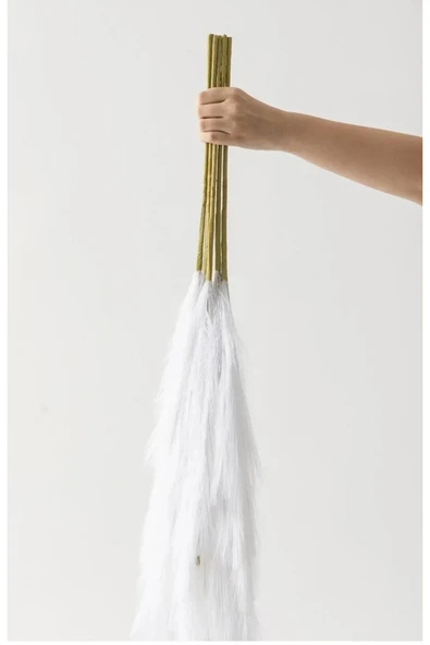 5’li Beyaz Pampas Çiçeği Ev Dekor Vazo Süsü ürün görseli