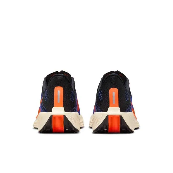 Pegasus Plus - Resim 4