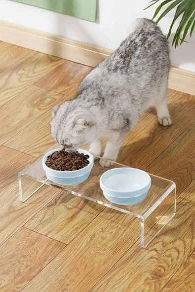 2'li Seramik Dekoratif Kedi Ve Köpek Pleksi Mama & Su Kabı Paspas Mavi - 2