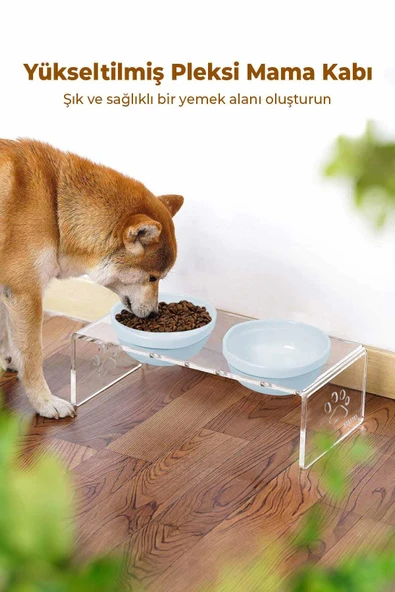 2'li Seramik Dekoratif Kedi Ve Köpek Pleksi Mama & Su Kabı Paspas Mavi - 3