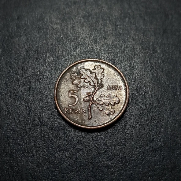 Escoines 399636873420ee80ba 1973 Bronz 5Kuruş Para - Resim 2