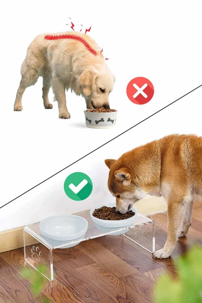 2'li Seramik Dekoratif Kedi Ve Köpek Pleksi Mama & Su Kabı Paspas Mavi - 4