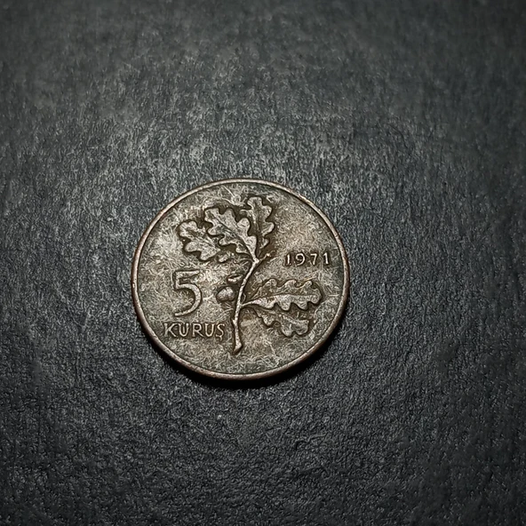 Escoines 399636873439c03498 5 Kuruş 1971 Bronz Para - Resim 4