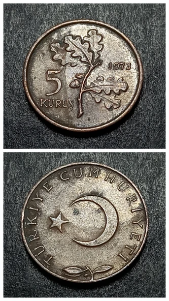 Escoines 399636873420ee80ba 1973 Bronz 5Kuruş Para ürün görseli 1