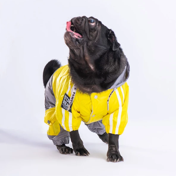 Pawstar BiColor Sarı-Gri Polarlı Su Geçirmez Küçük Irk Köpek Yağmurluk Tulum - Resim 3
