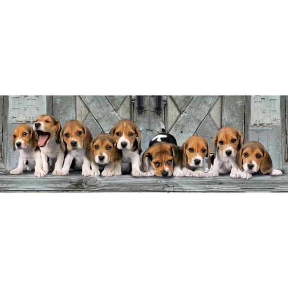 Clementoni Beagles 1000 Parça Sevimli Köpek Yavruları High Quality Collection Yetişkin Puzzle - 2