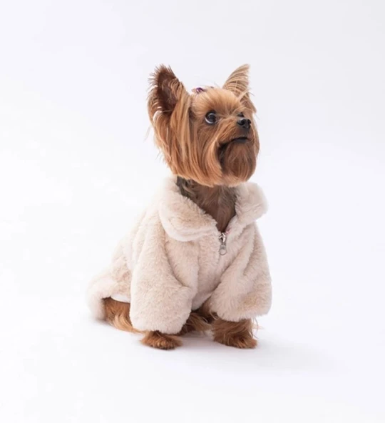 Pawstar Ekru Paris Küçük Irk Köpek Ceketi - 3