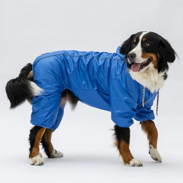 Pawstar Sax Mavi Muson Polarlı Su Geçirmez Orta-Büyük Irk Köpek Yağmurluk Tulum - Resim 8