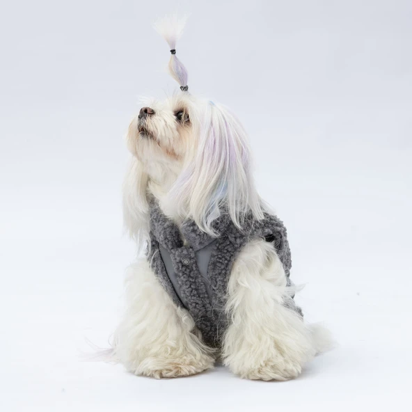 Pawstar Gri Churchill Su Geçirmez Küçük Irk Köpek Yeleği - Resim 4