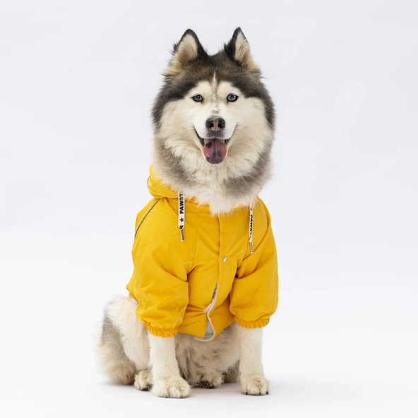 Pawstar Pluvia İçi Polar Orta-Büyük Irk Köpek Yağmurluğu Sarı - Resim 3