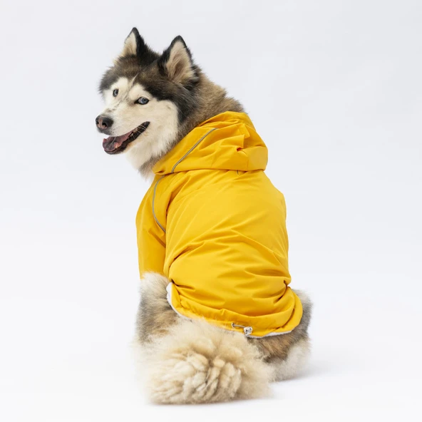 Pawstar Pluvia İçi Polar Orta-Büyük Irk Köpek Yağmurluğu Sarı - Resim 2