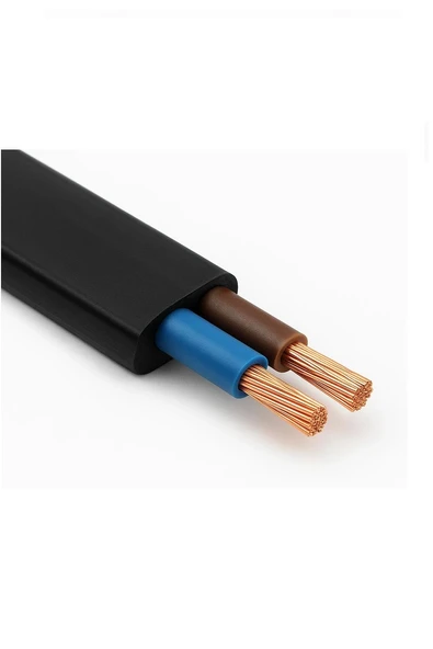 Fişli Arapuarlı Kablo (Yassı)- Anahtarlı (2X0,50) Siyah - 2 Metre - 2