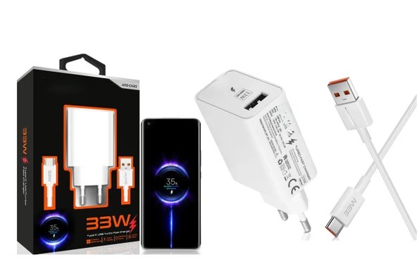 Auris ARS-CH33 33 W Type-C Kablolu Hızlı Şarj Aleti