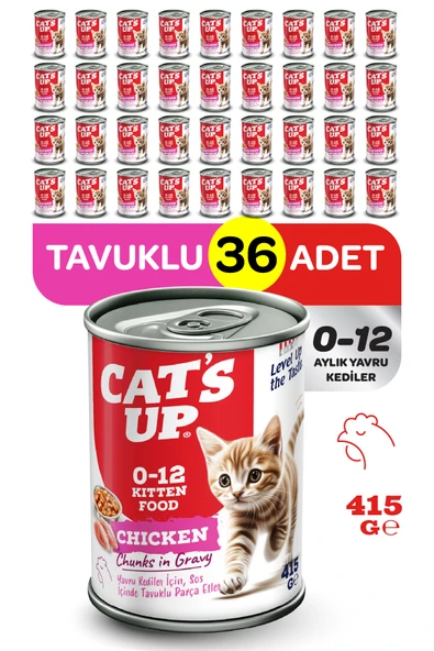 Cats Up Yaş Yavru Kedi Maması Tavuklu 415gr 36Lı ürün görseli