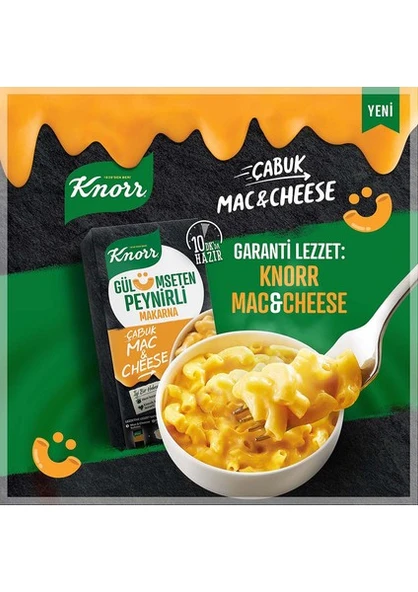 Knorr Çabuk Mac And Cheese Peynirli Makarna 212 gr 5’li - Resim 7