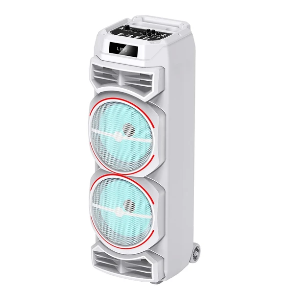 Zore GD-2828 Dijital LED Göstergeli Mikrofonlu RGB TWS Çift 8 inç Stereo Bass Kablosuz Karaoke Hoparlör - 1