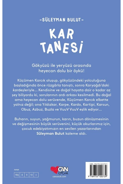 Kar Tanesi - Resim 3